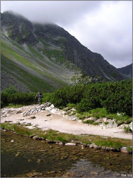 img00005.jpg