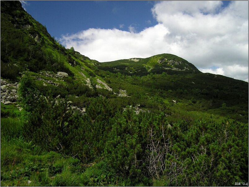 img00006.jpg
