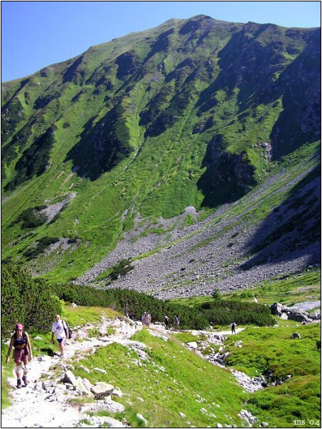 img00007.jpg