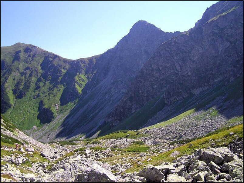 img00008.jpg