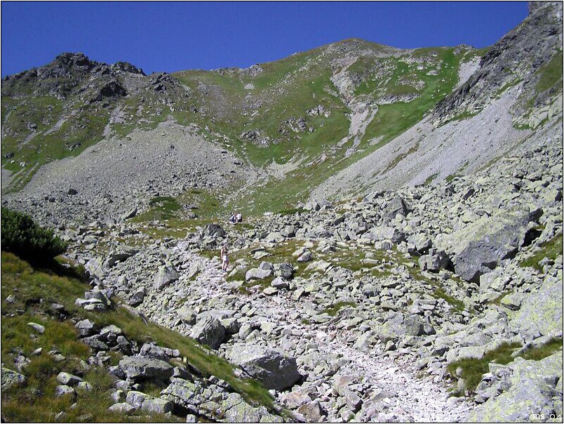 img00009.jpg