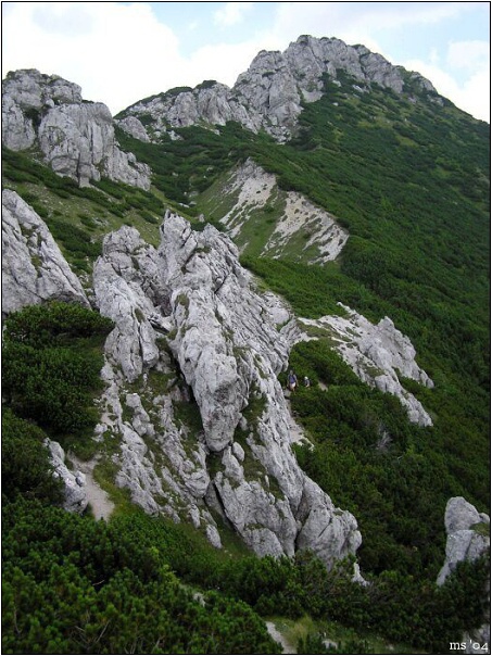 img00021.jpg