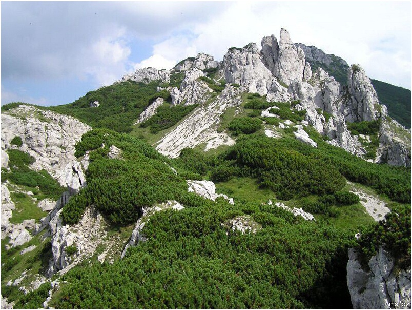 img00022.jpg