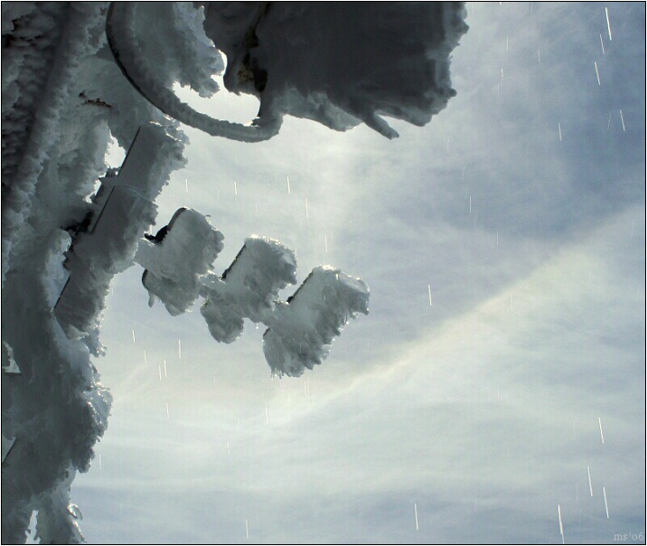 img00036.jpg