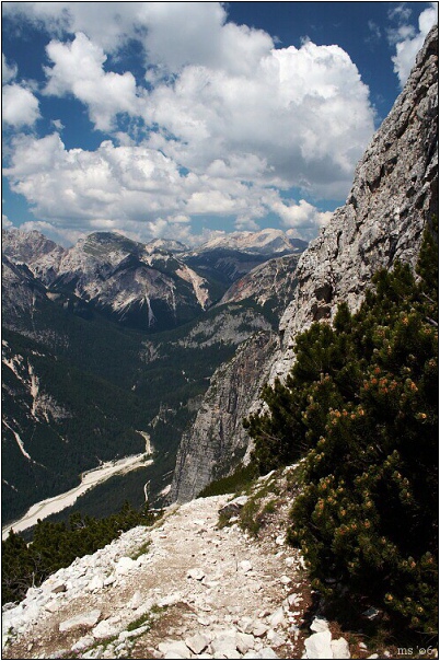 img00010.jpg