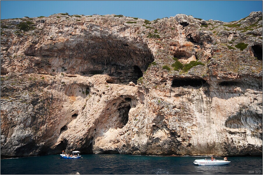 img00008.jpg