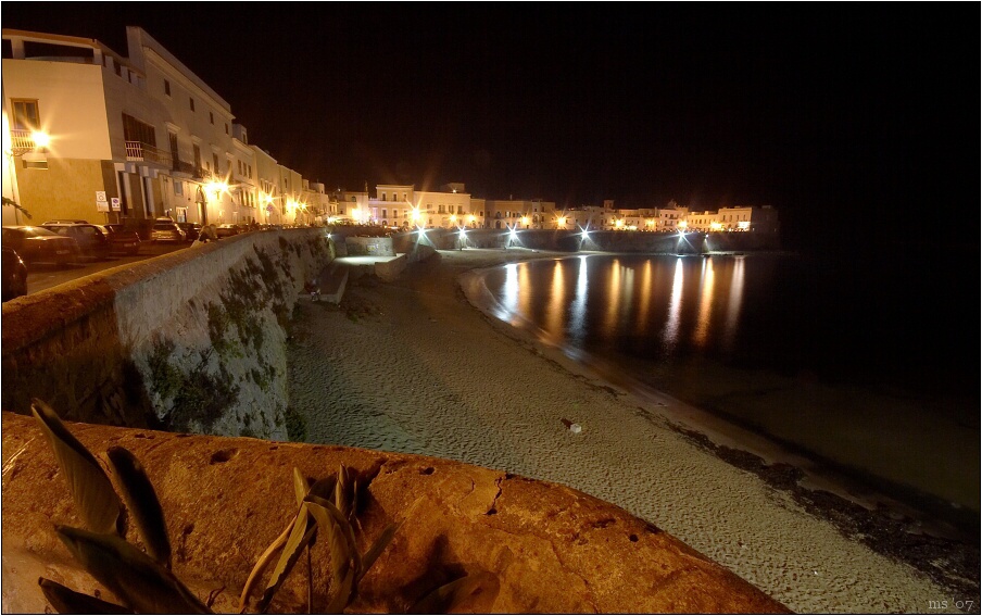 img00020.jpg