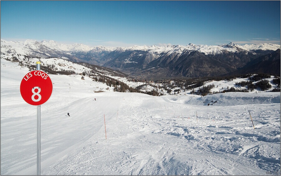 img00005.jpg