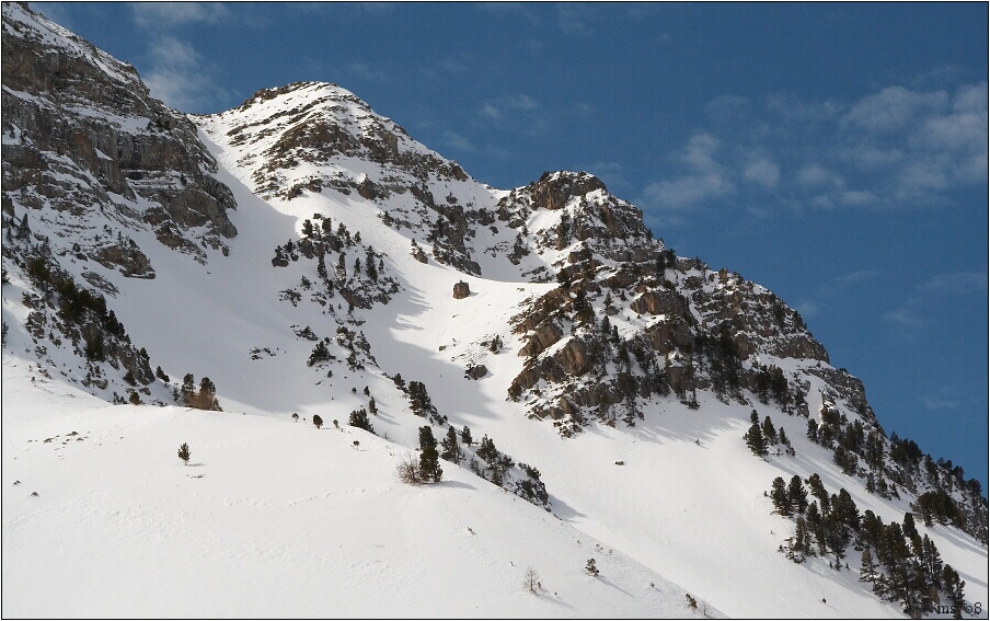 img00018.jpg
