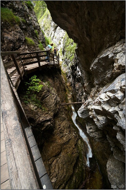 img00011.jpg