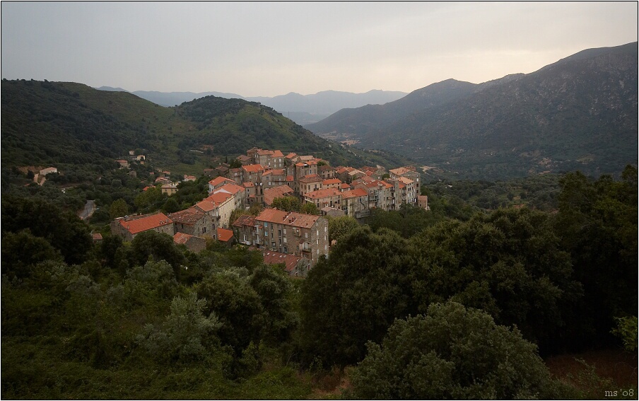 img00011.jpg