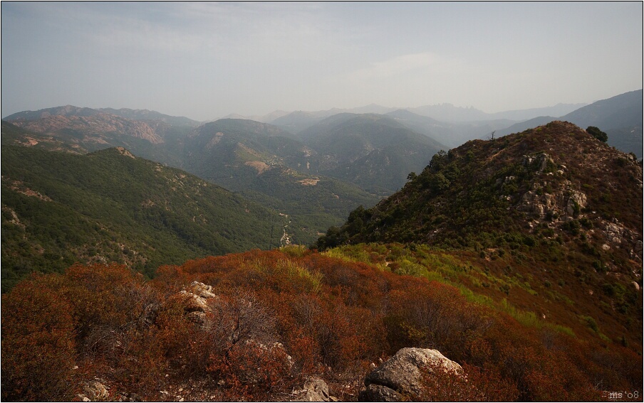 img00013.jpg