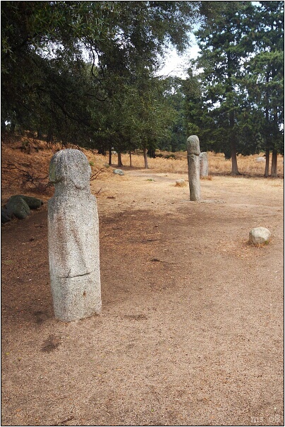 img00019.jpg