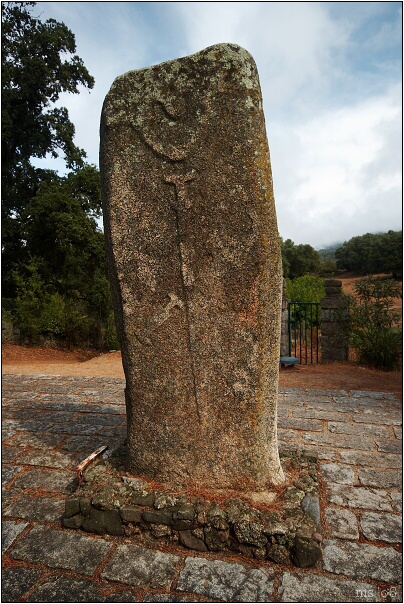 img00020.jpg