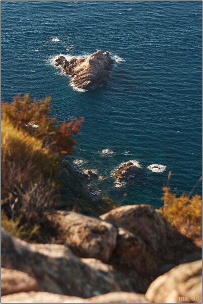 img00043.jpg
