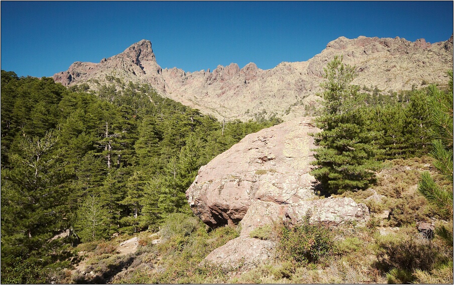 img00048.jpg