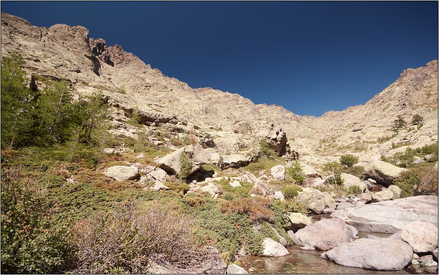 img00050.jpg
