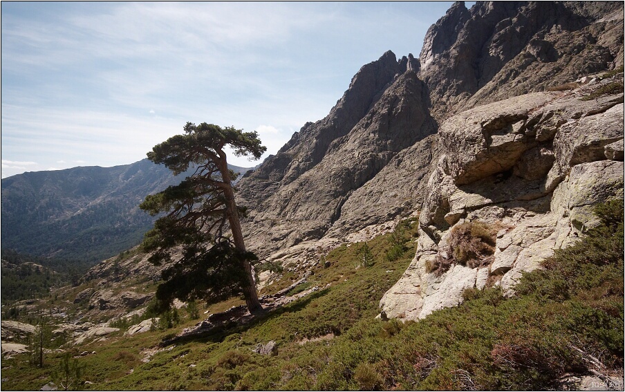 img00054.jpg