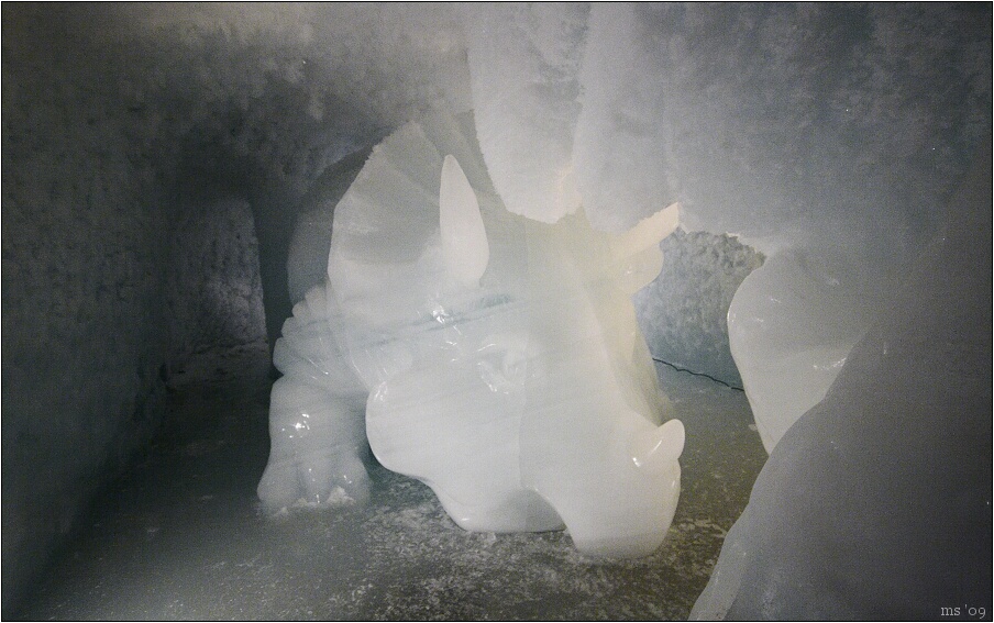img00008.jpg