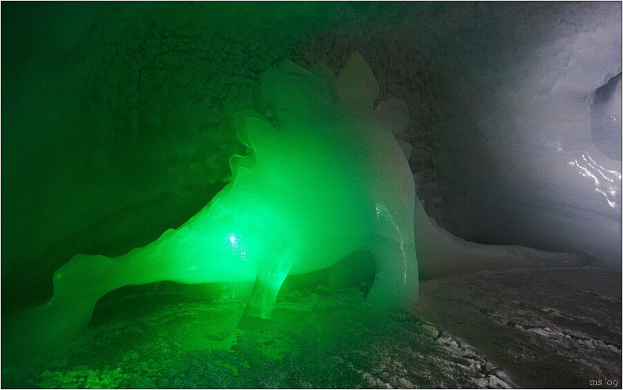 img00009.jpg