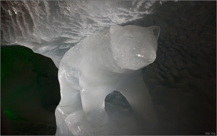 img00010.jpg