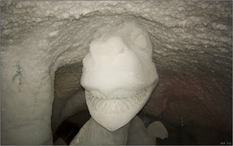 img00011.jpg