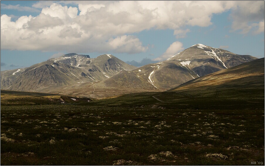img00090.jpg