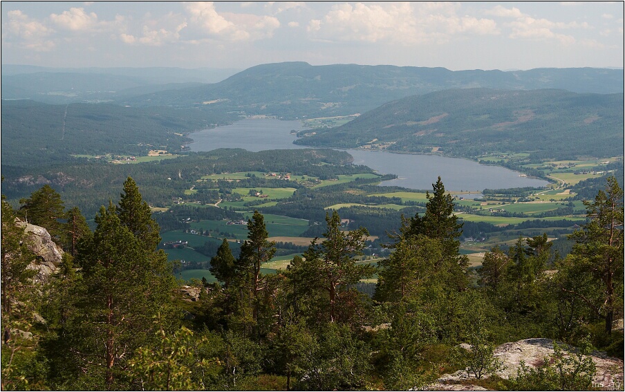 img00106.jpg
