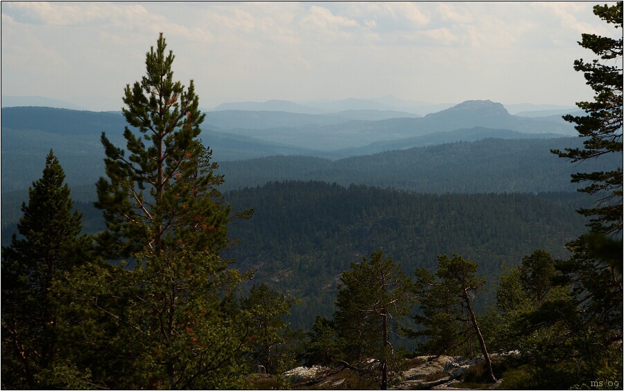 img00107.jpg