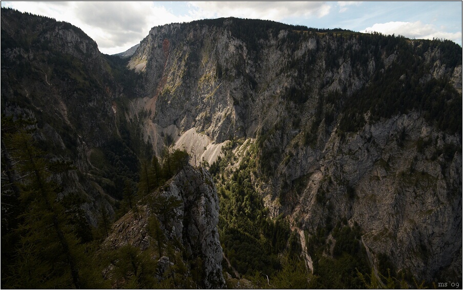 img00005.jpg