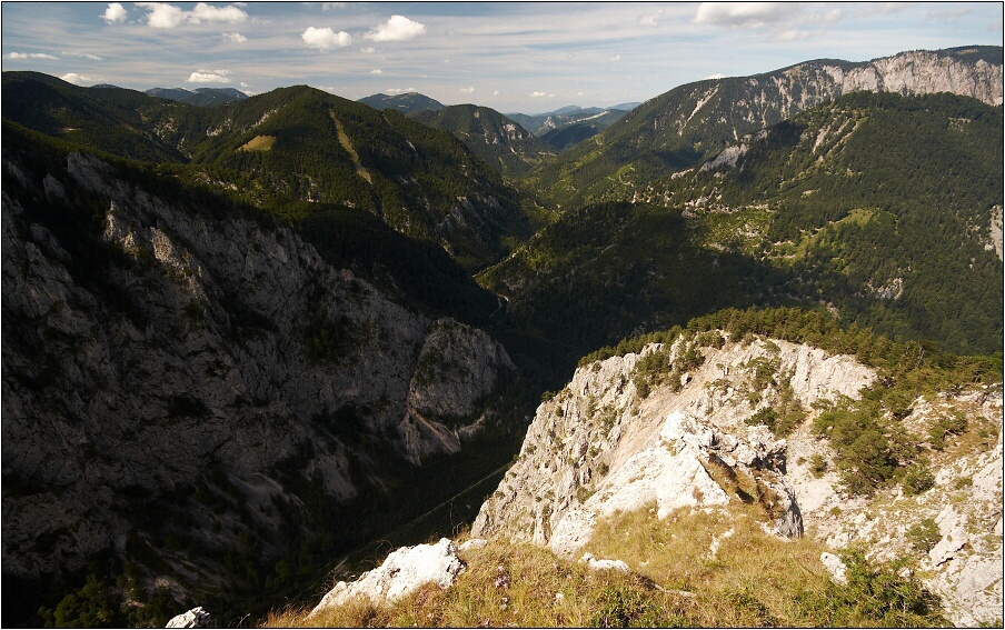 img00006.jpg