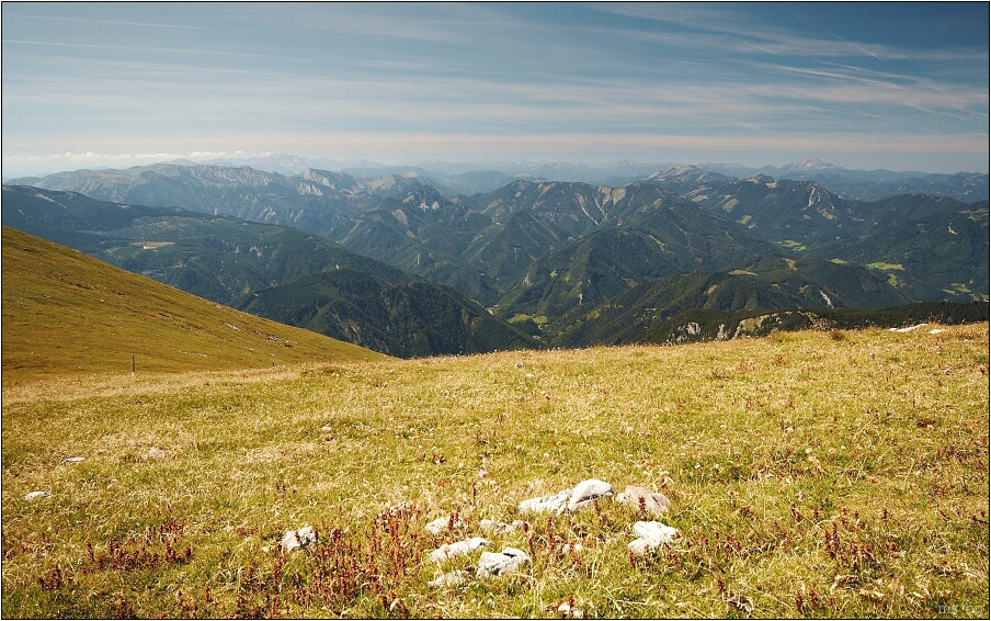 img00011.jpg