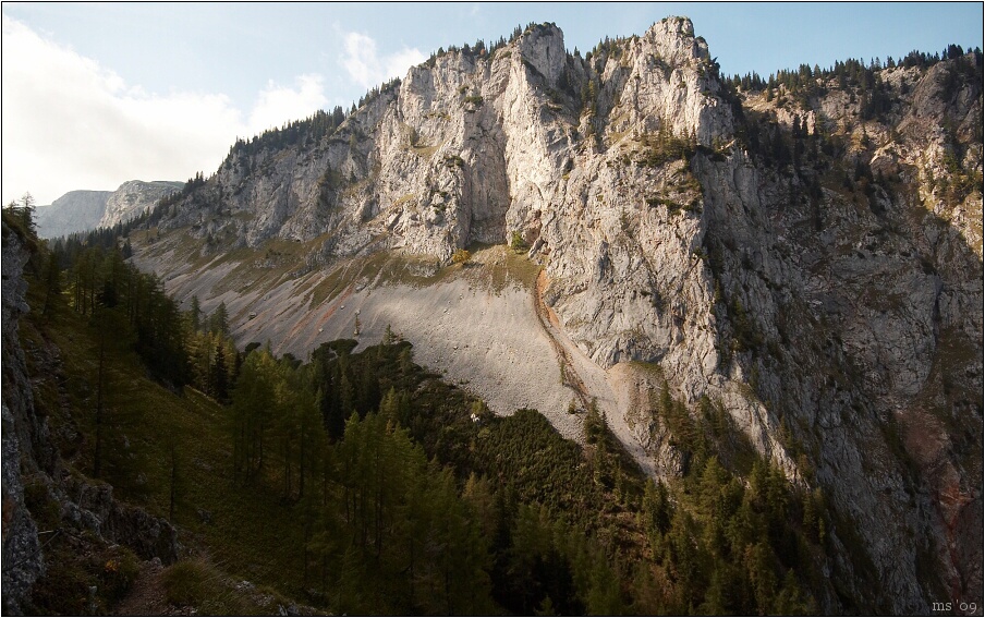 img00005.jpg