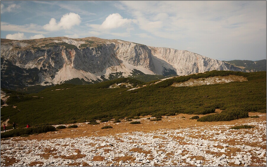 img00017.jpg