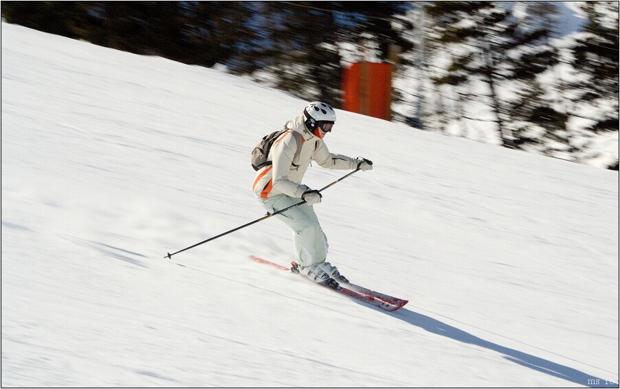 img00010.jpg