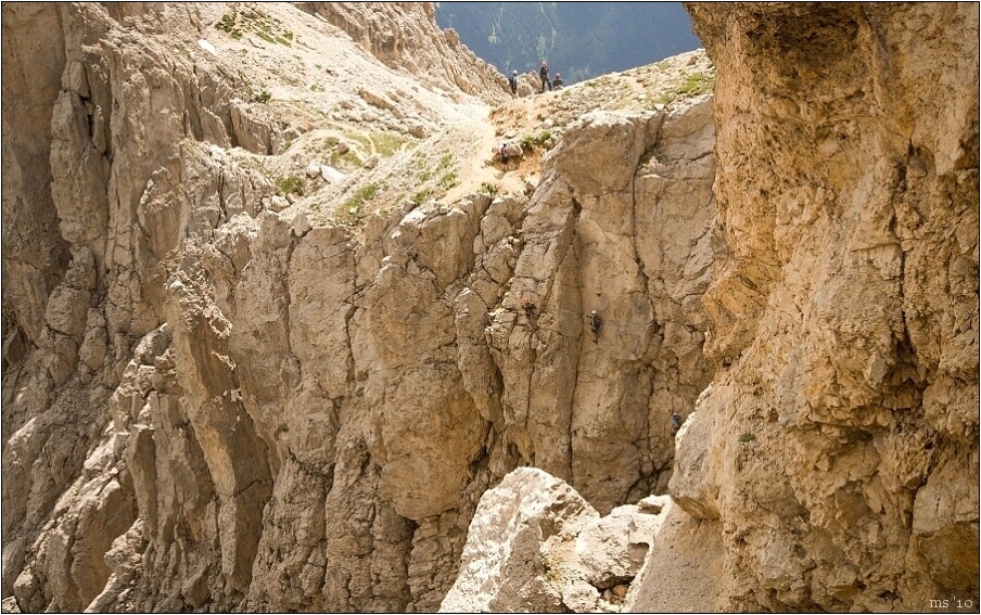 img00037.jpg