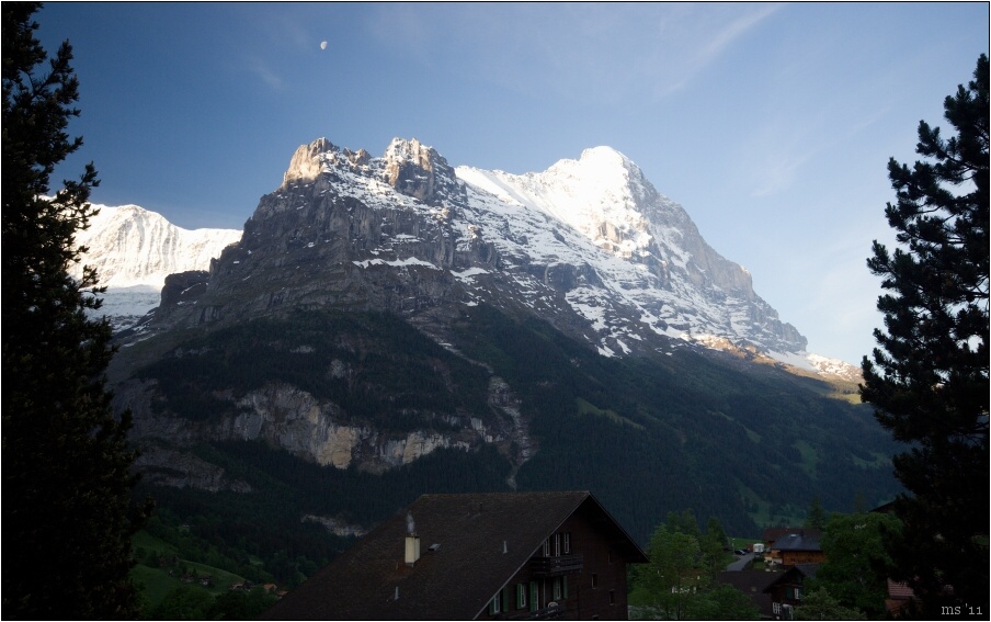 img00006.jpg