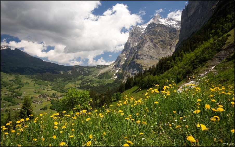 img00025.jpg