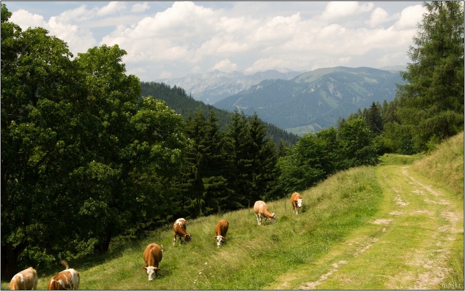 img00016.jpg