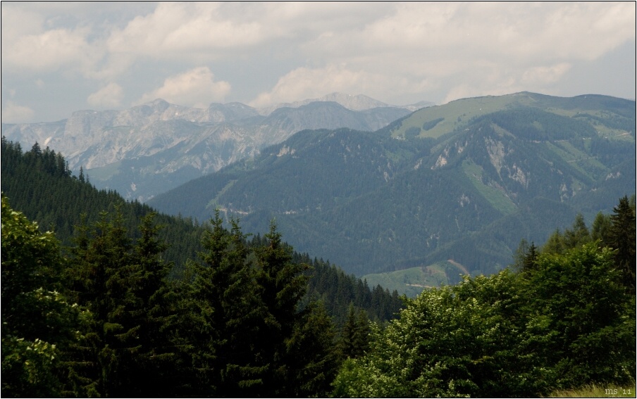 img00017.jpg