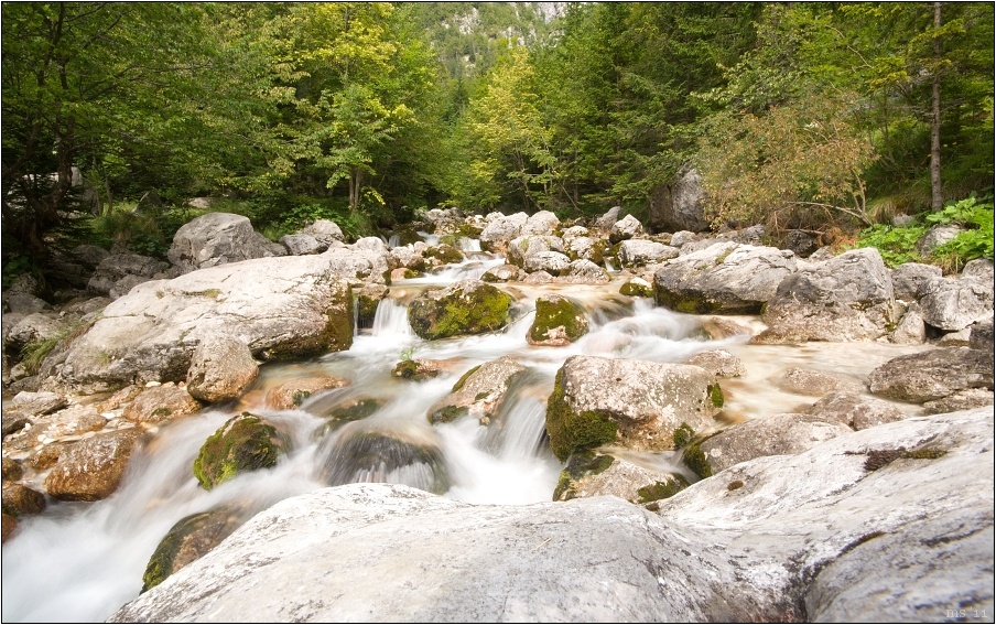 img00037.jpg