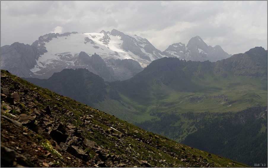 img00015.jpg