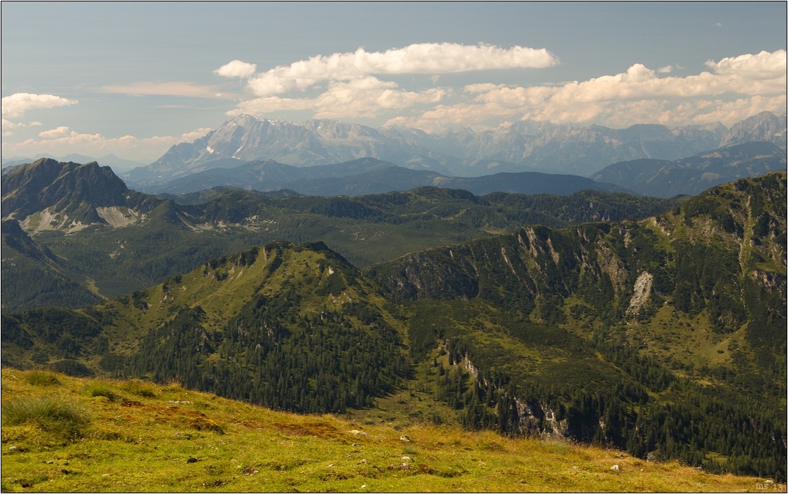 img00010.jpg