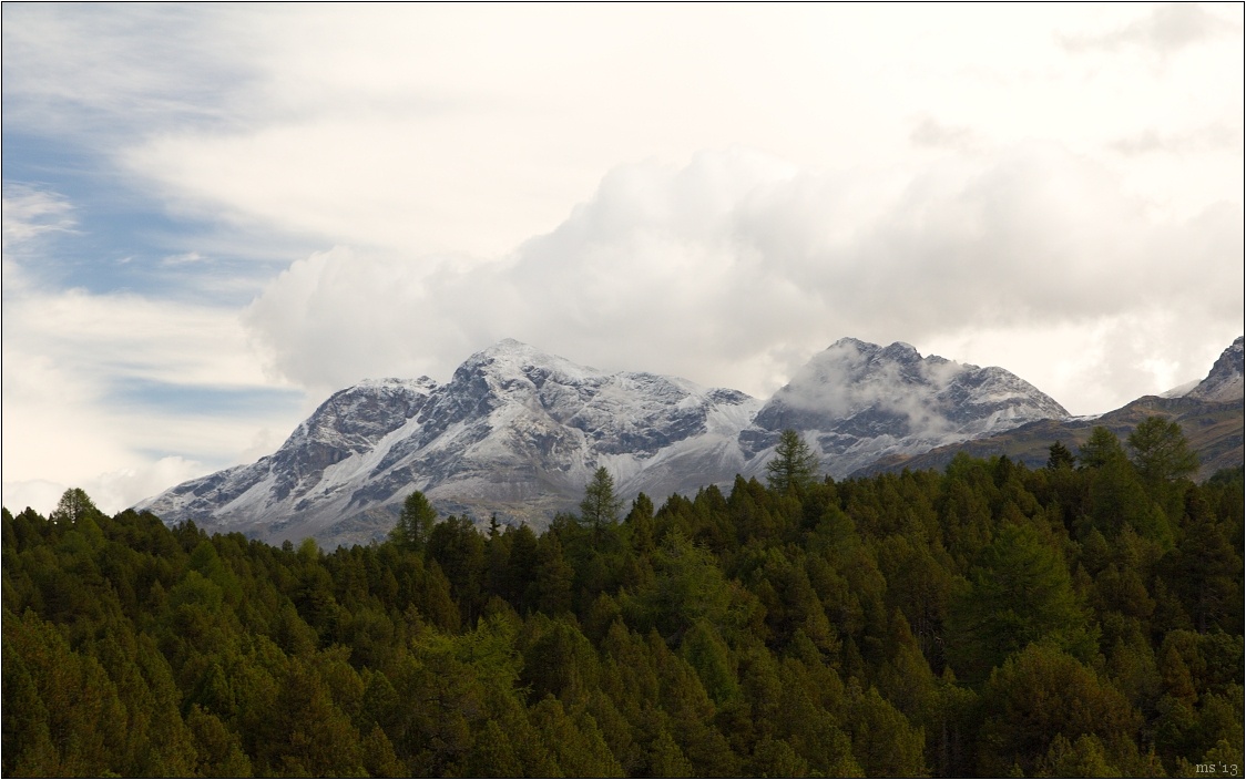 img00049.jpg