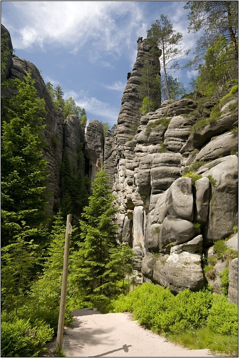 img00004.jpg