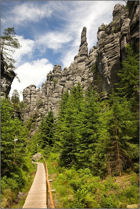 img00007.jpg