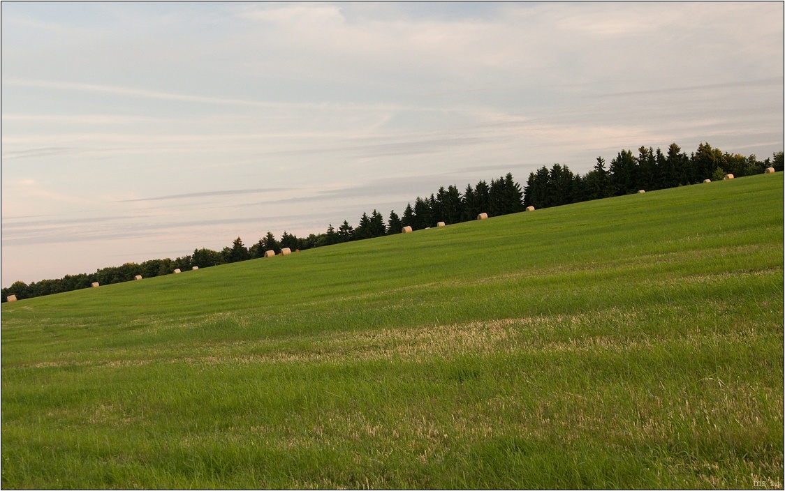 img00014.jpg