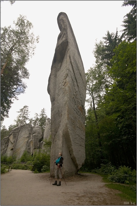 img00016.jpg
