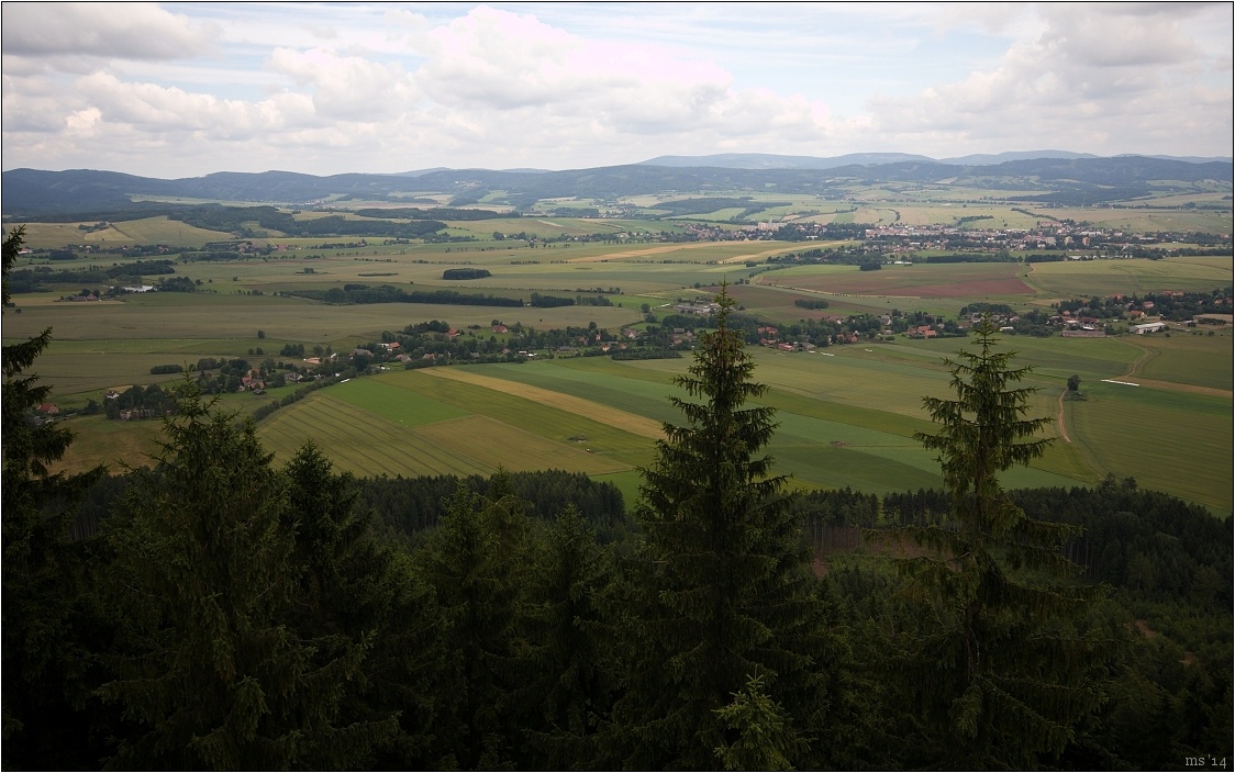 img00026.jpg