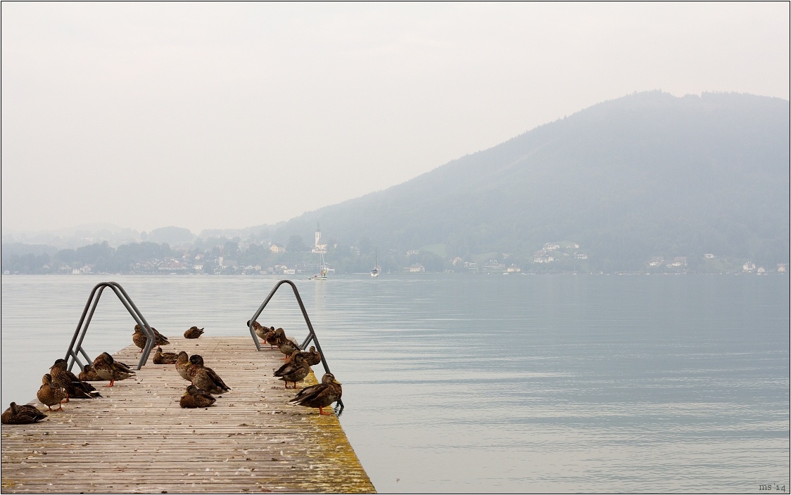 img00023.jpg